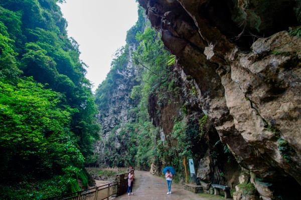 a7纸尺寸是多大